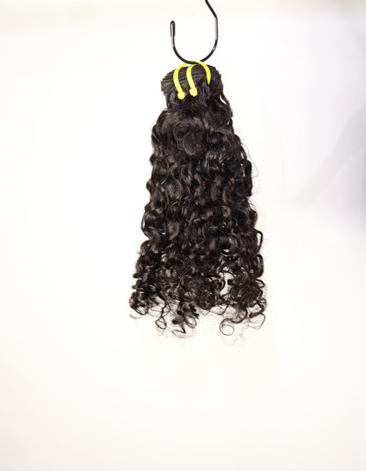 Burmese curls